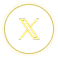 x_icon